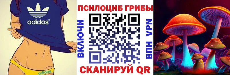 купить закладку  Вытегра  Галлюциногенные грибы Magic Shrooms 